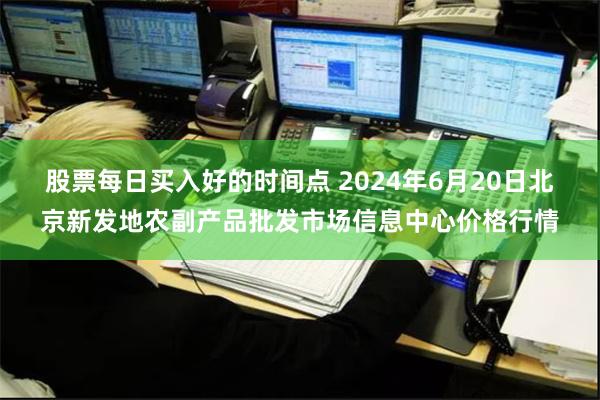 股票每日买入好的时间点 2024年6月20日北京新发地农副产品批发市场信息中心价格行情