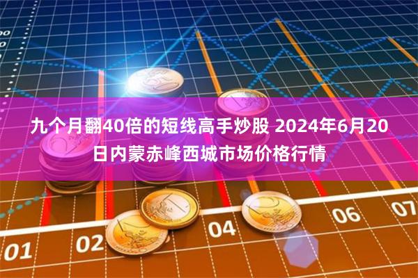 九个月翻40倍的短线高手炒股 2024年6月20日内蒙赤峰西城市场价格行情