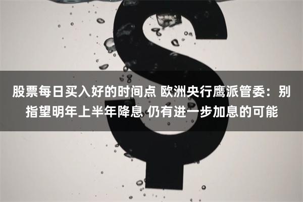 股票每日买入好的时间点 欧洲央行鹰派管委：别指望明年上半年降息 仍有进一步加息的可能