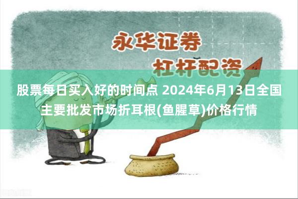 股票每日买入好的时间点 2024年6月13日全国主要批发市场折耳根(鱼腥草)价格行情