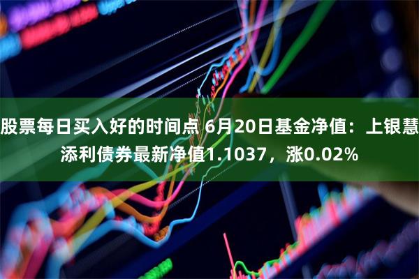 股票每日买入好的时间点 6月20日基金净值：上银慧添利债券最新净值1.1037，涨0.02%