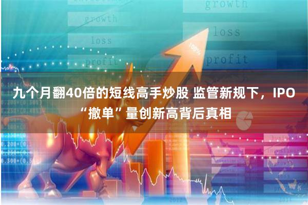 九个月翻40倍的短线高手炒股 监管新规下，IPO“撤单”量创新高背后真相