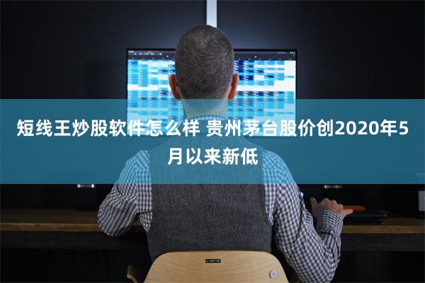 短线王炒股软件怎么样 贵州茅台股价创2020年5月以来新低