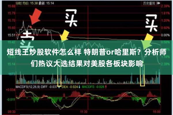 短线王炒股软件怎么样 特朗普or哈里斯？分析师们热议大选结果对美股各板块影响