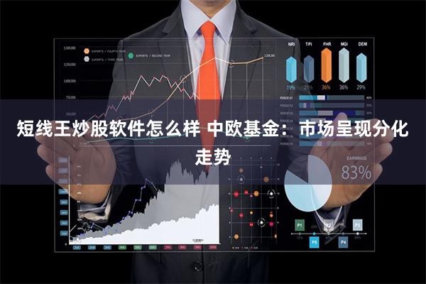 短线王炒股软件怎么样 中欧基金：市场呈现分化走势