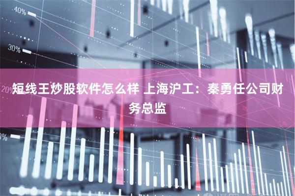 短线王炒股软件怎么样 上海沪工：秦勇任公司财务总监