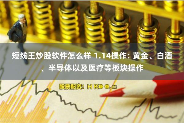 短线王炒股软件怎么样 1.14操作: 黄金、白酒、半导体