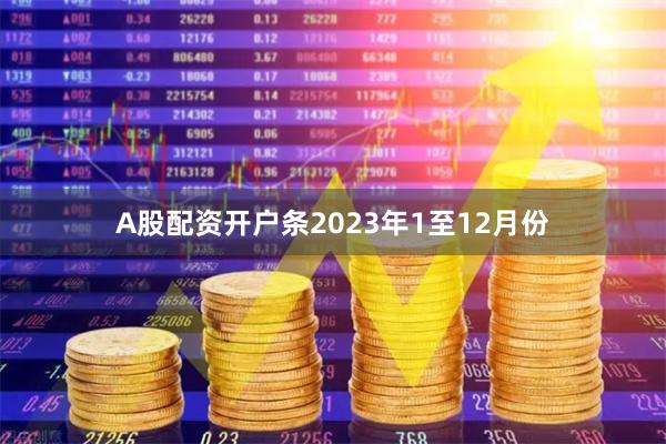 A股配资开户条2023年1至12月份