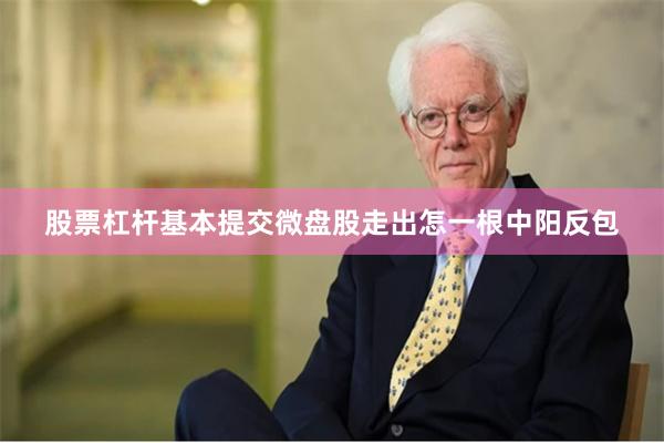 股票杠杆基本提交微盘股走出怎一根中阳反包