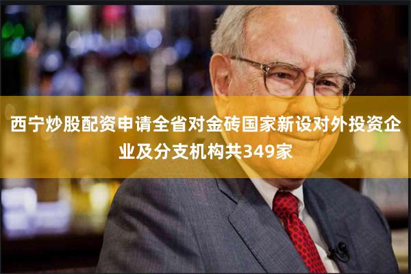 西宁炒股配资申请全省对金砖国家新设对外投资企业及分支机构共349家