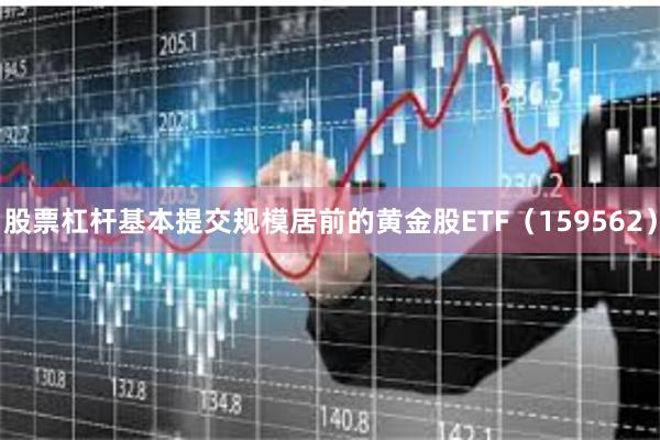 股票杠杆基本提交规模居前的黄金股ETF（159562）
